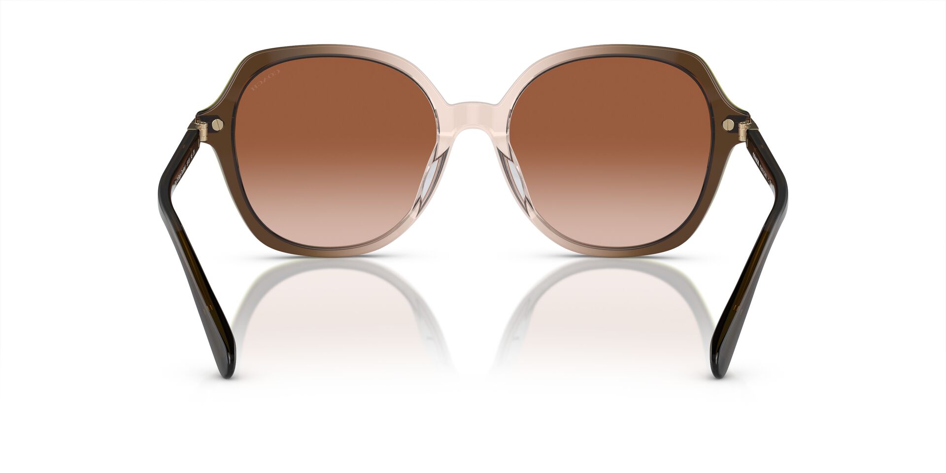 COACH HC8377U CL925 540013 55 SUNGLASSES