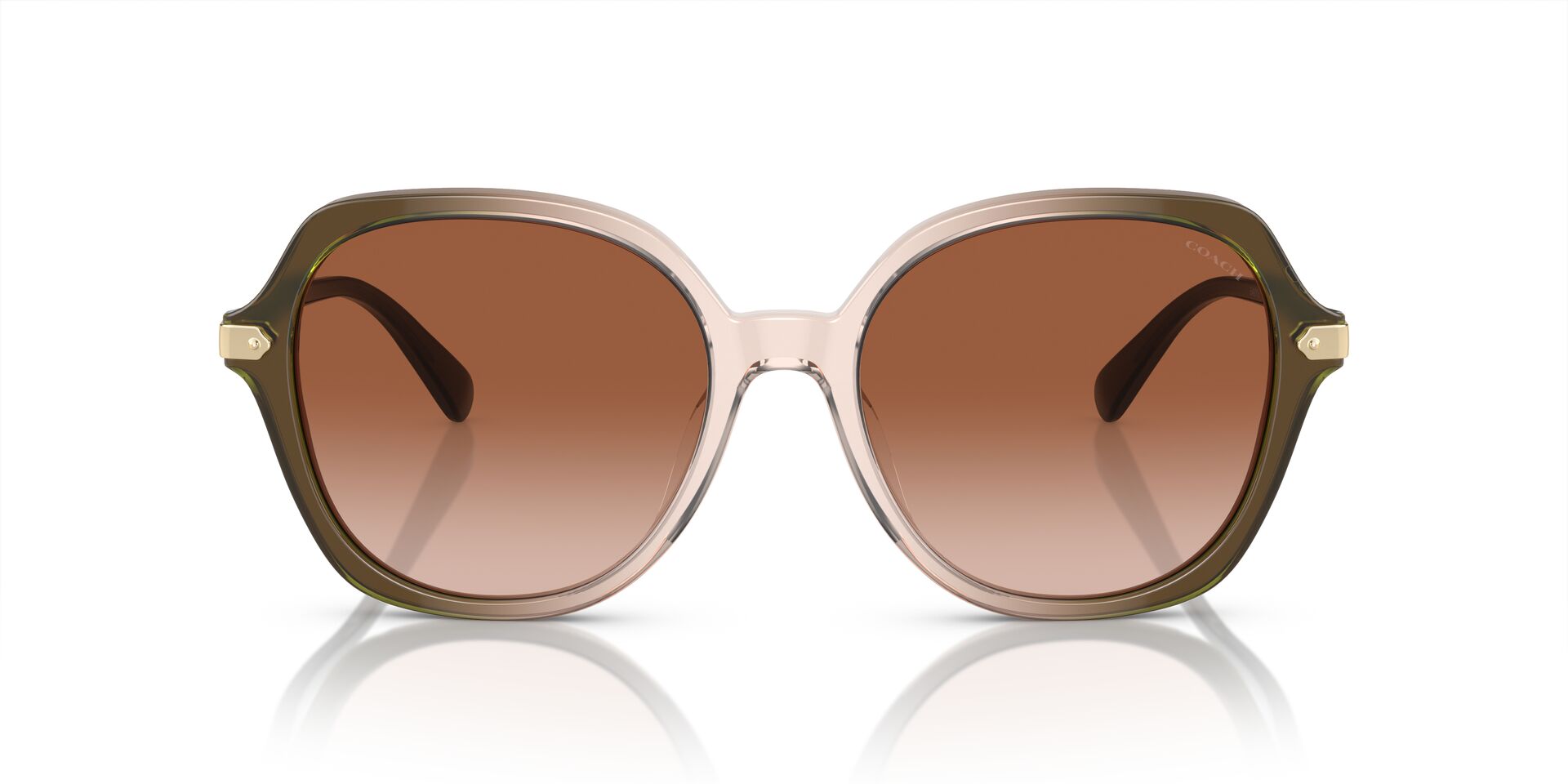 COACH HC8377U CL925 540013 55 SUNGLASSES