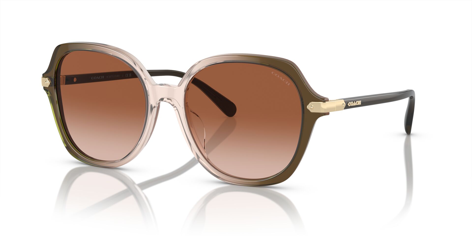 COACH HC8377U CL925 540013 55 SUNGLASSES