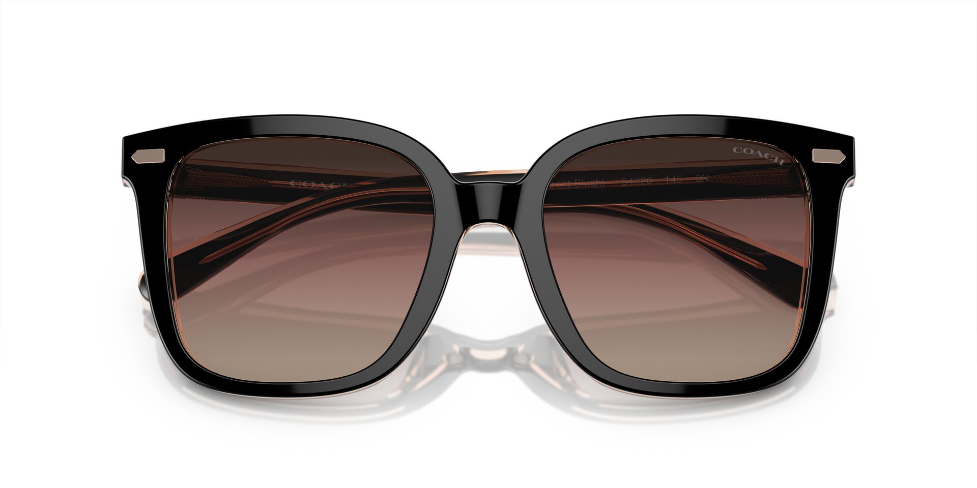 COACH HC8381U CL918 5781E2 54 SUNGLASSES