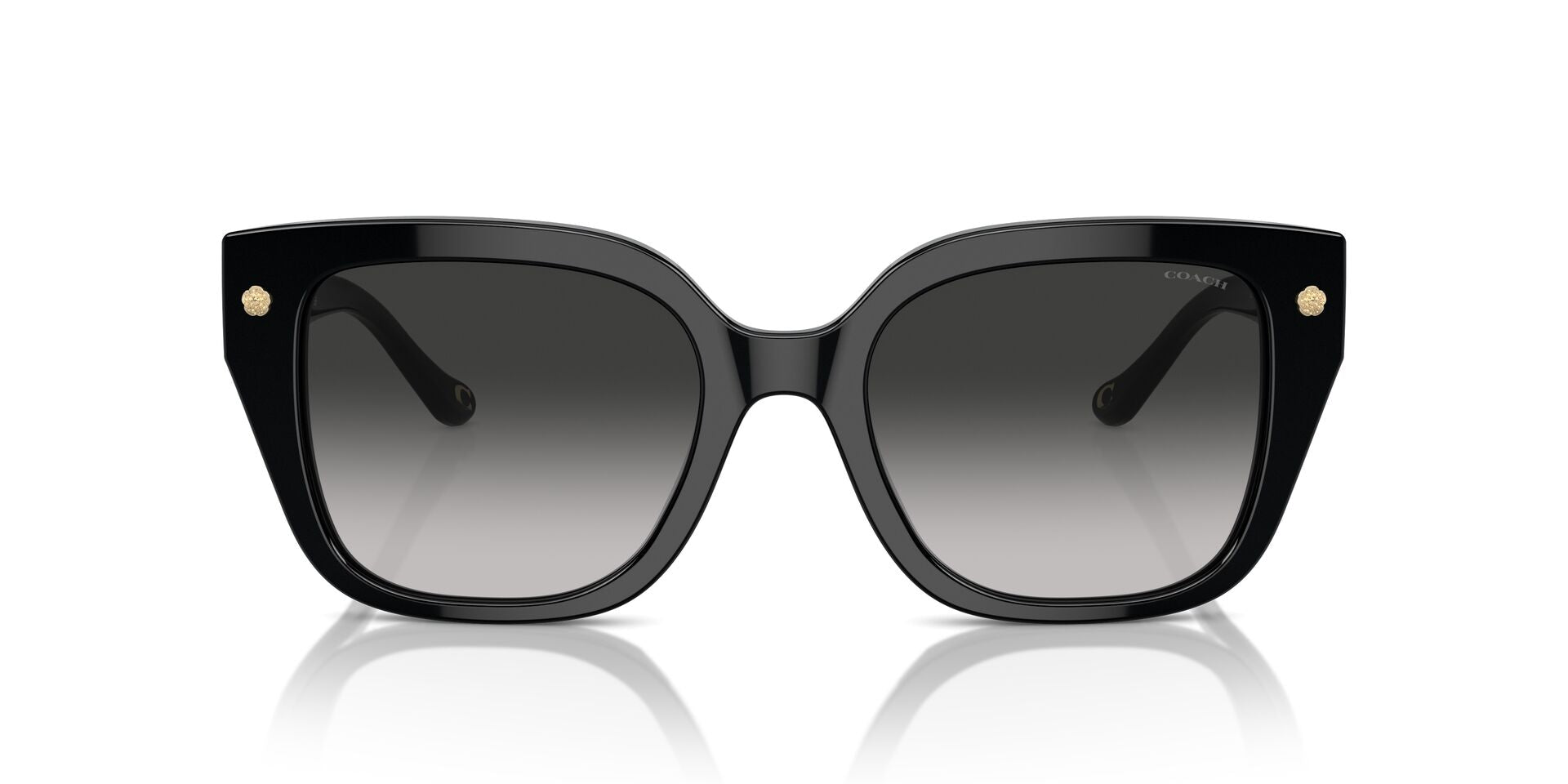 COACH HC8392U 50023C 53 SUNGLASSES