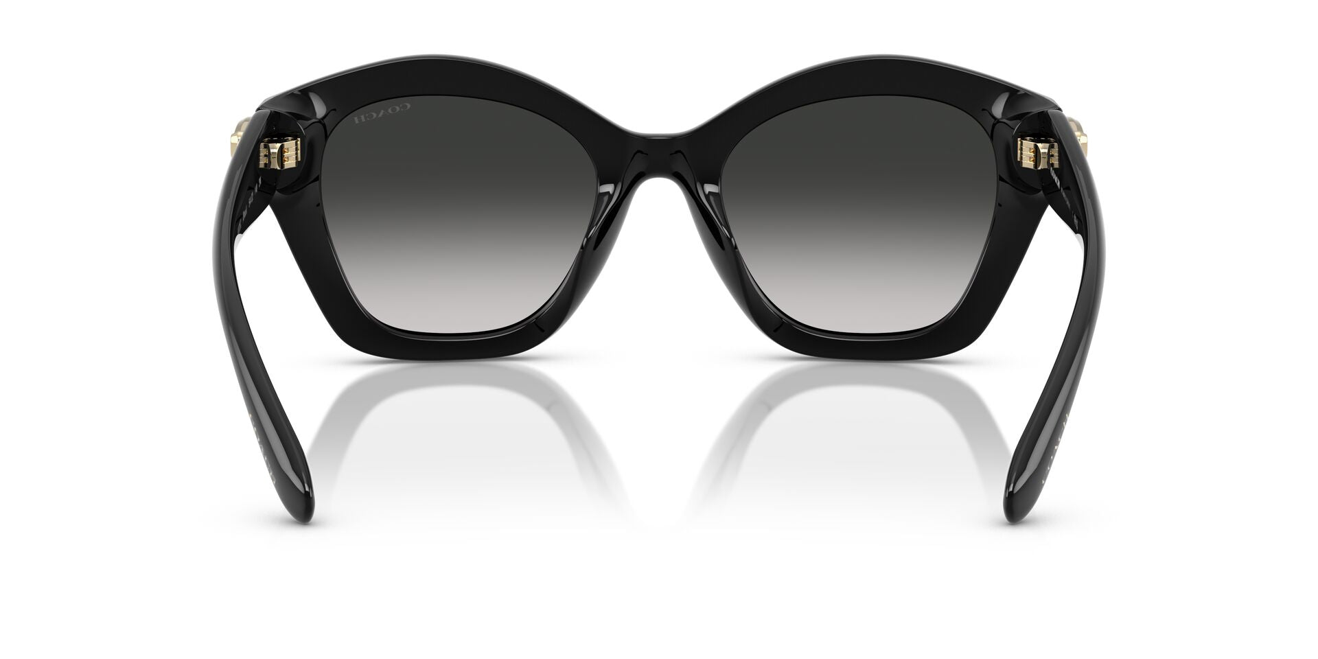 COACH HC8421U 50023C 54 SUNGLASSES