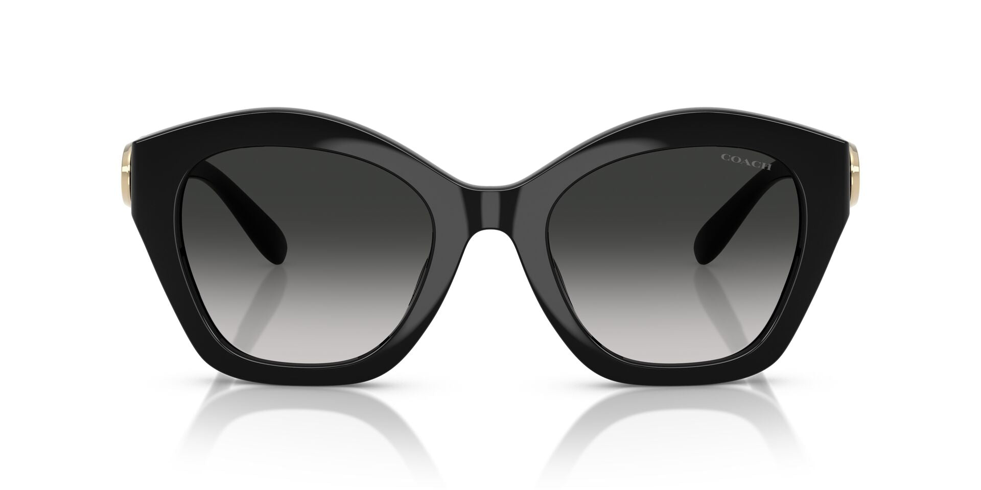 COACH HC8421U 50023C 54 SUNGLASSES