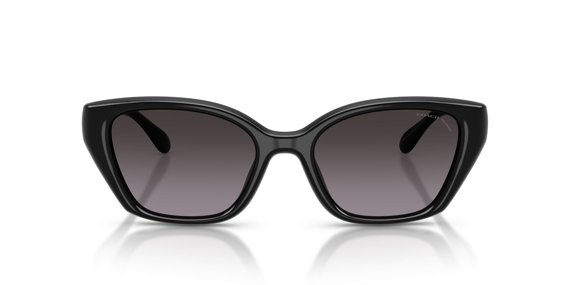 COACH HC8434U 5002F4 53 SUNGLASSES