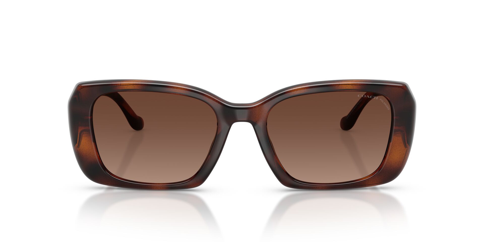 COACH HC8435U 5120T5 54 SUNGLASSES