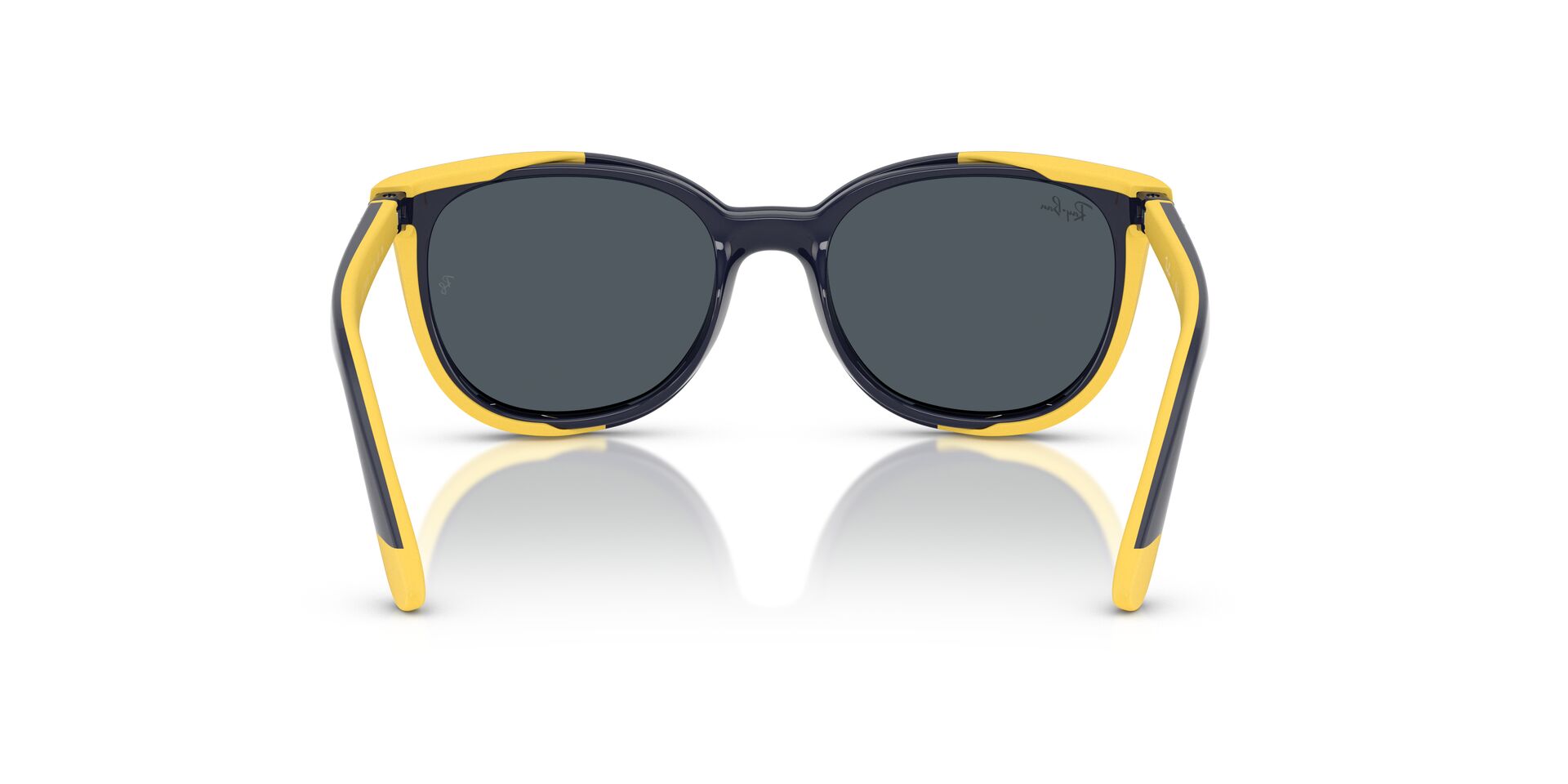 RAYBAN RY1631C 393787 47 SUNGLASSES