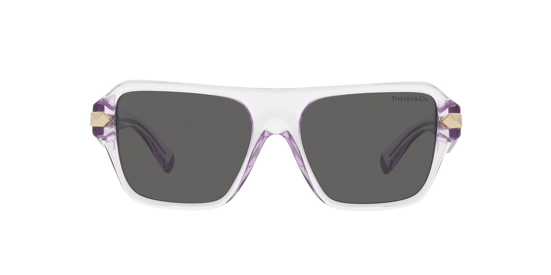 TIFFANY & CO TF4204 8376S4 54 SUNGLASSES