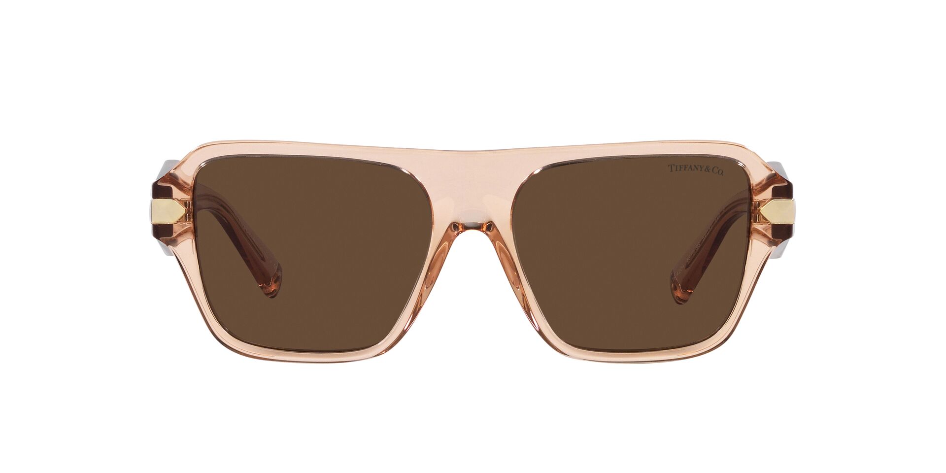 TIFFANY & CO TF4204 83773G 54 SUNGLASSES