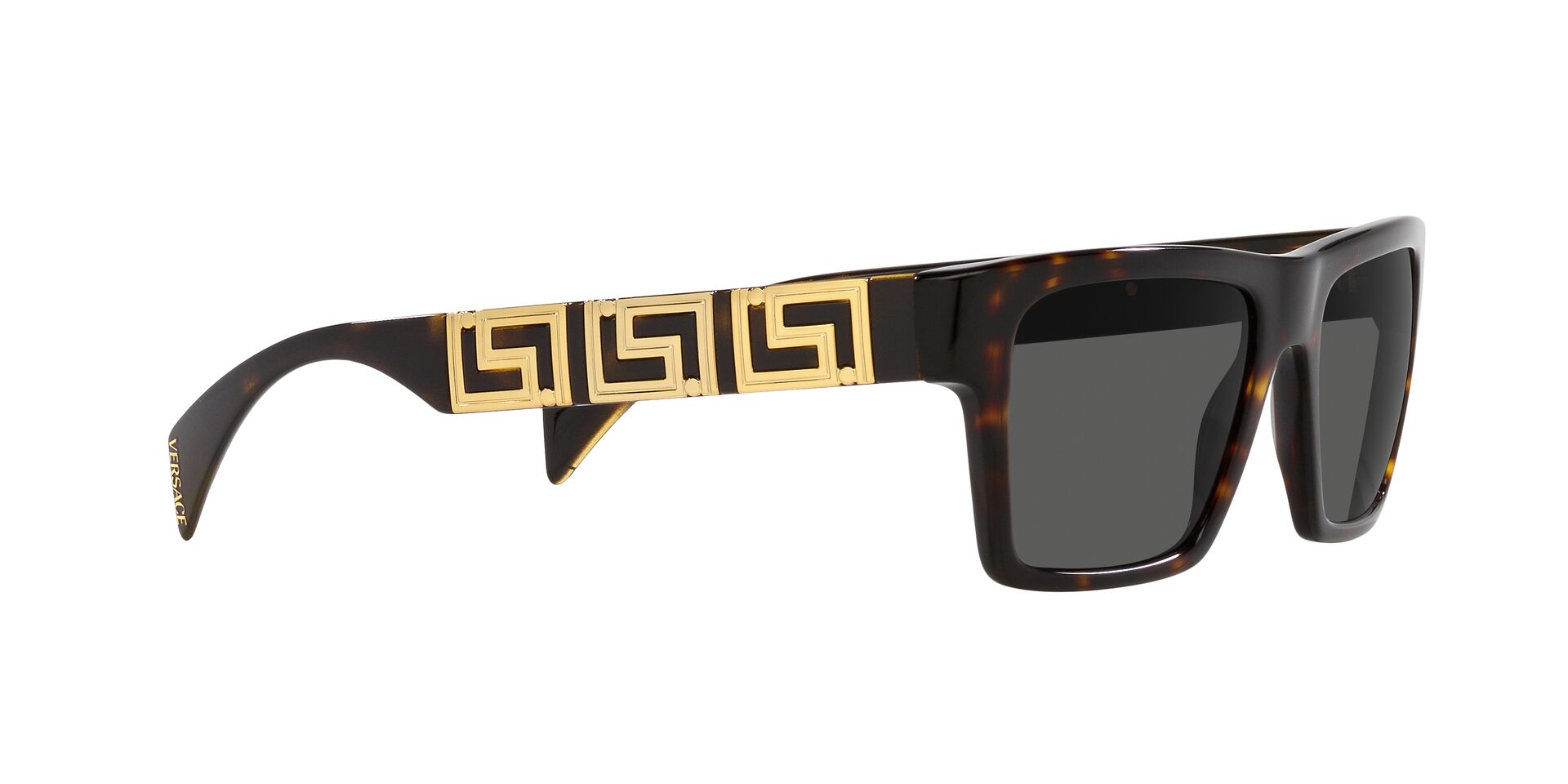 VERSACE VE4445 108/87 54 SUNGLASSES