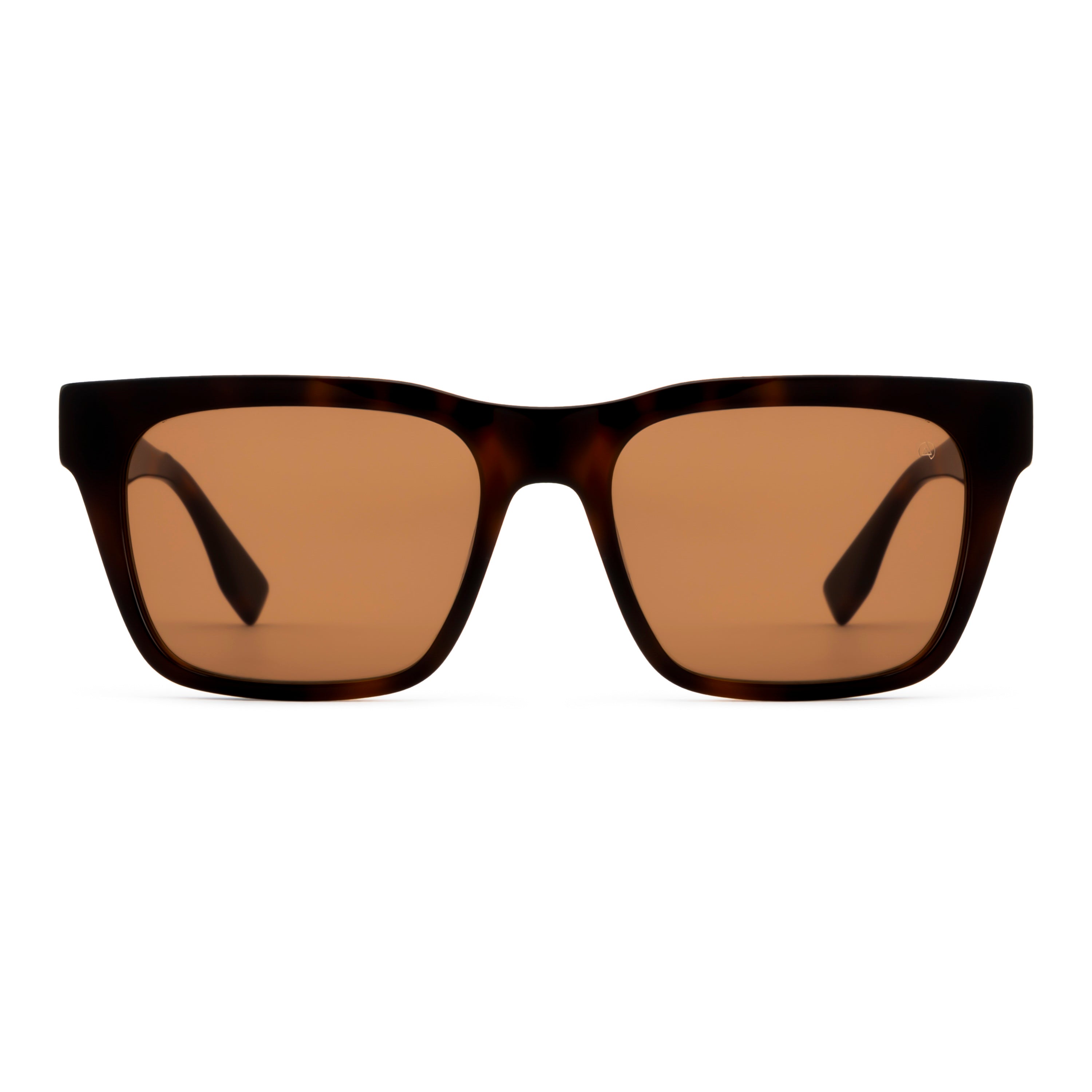 DAVID JONES DJ0490S C5 54 SUNGLASSES