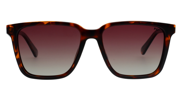 FCUK FC7661PL C2 54 SUNGLASSES