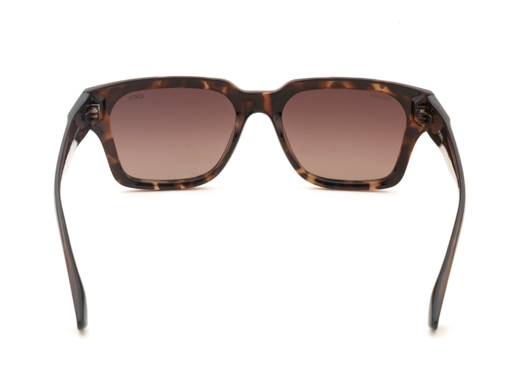 iDEE S3206 C2P 53 SUNGLASSES