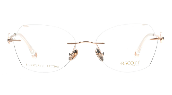 SCOTT SC9045 C2 53 FRAME