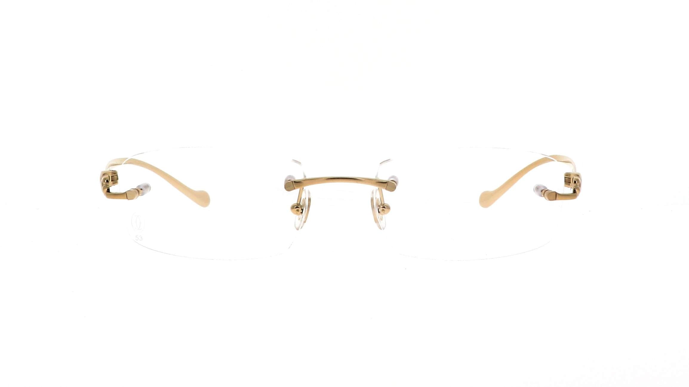 CARTIER CT0061O 002 53 FRAME