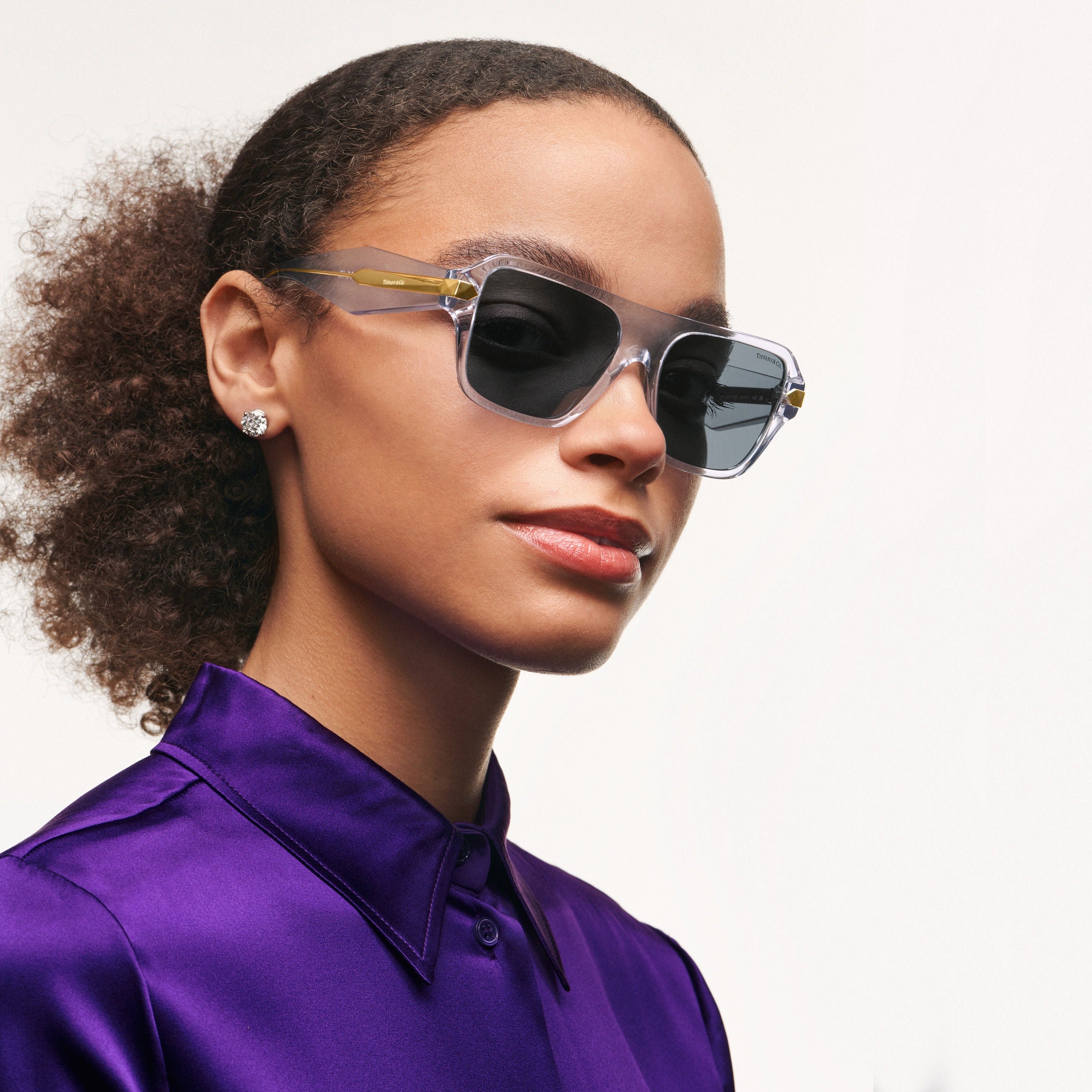 TIFFANY & CO TF4204 8376S4 54 SUNGLASSES