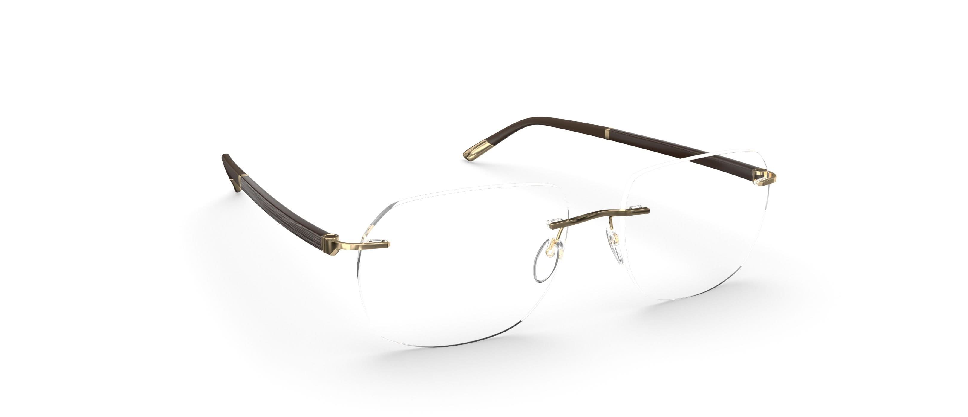 SILHOUETTE 5565 LT 7520 55 FRAME