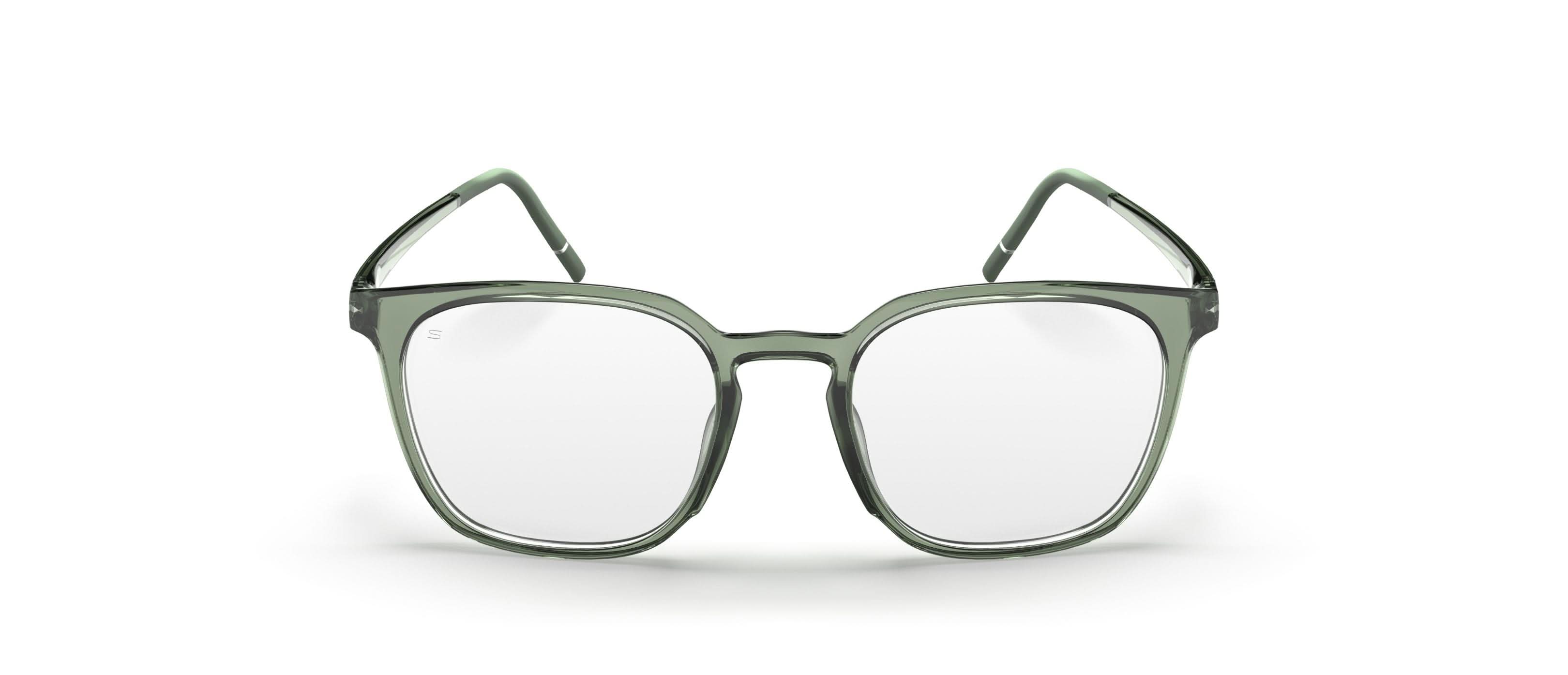 SILHOUETTE 2980 75 5010 51 FRAME
