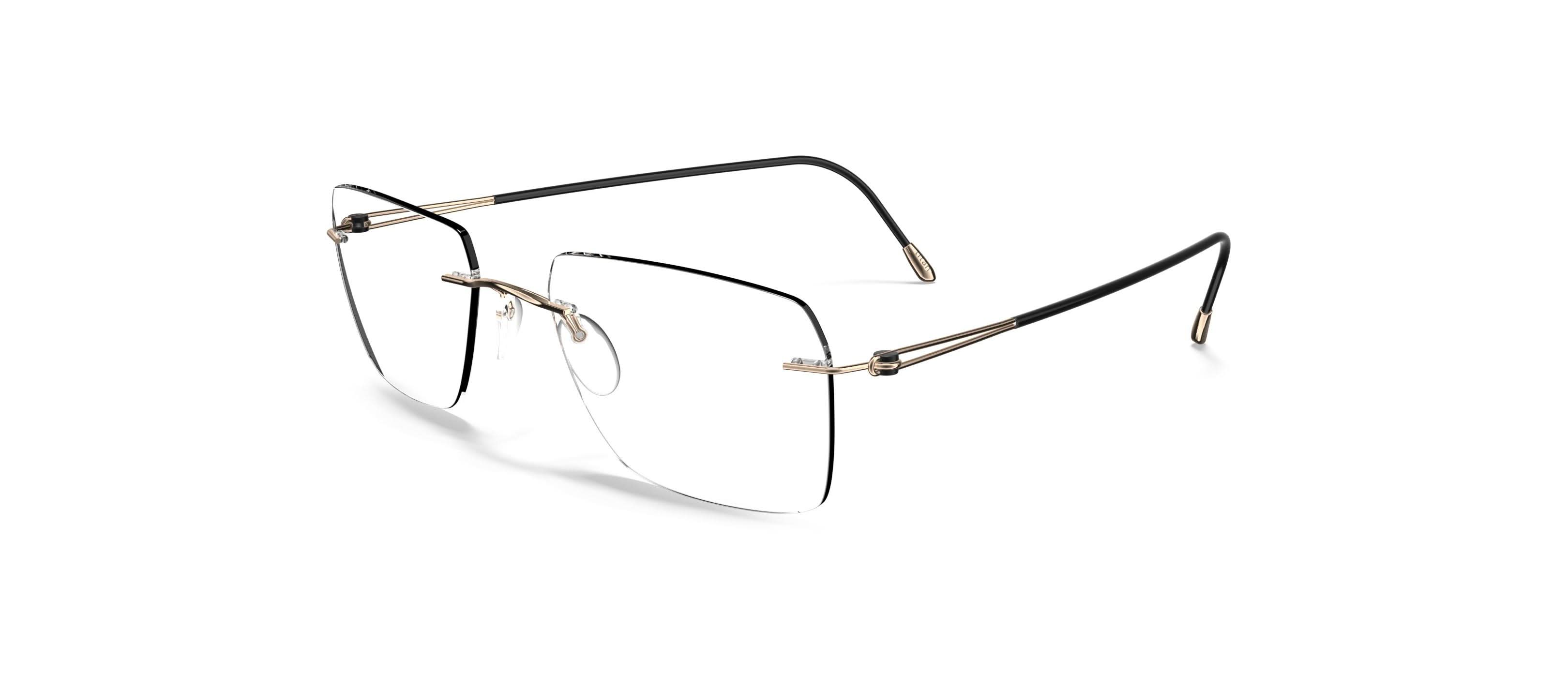 SILHOUETTE 5569 DN 7530 55 FRAME