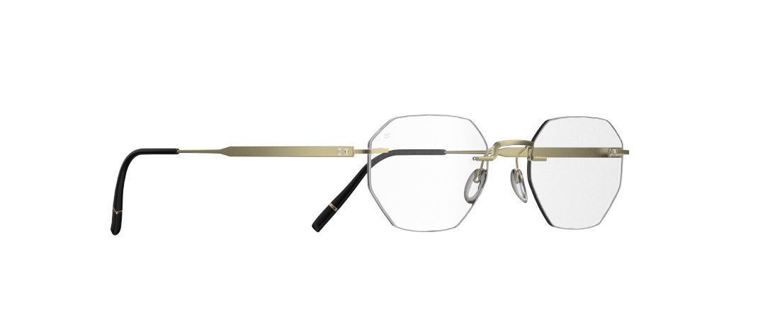 SILHOUETTE 5586 PA 8540 49 FRAME
