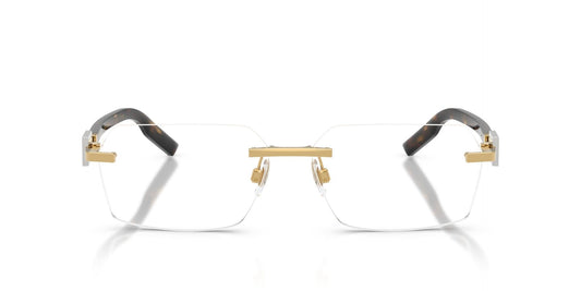 DOLCE & GABBANA DG1361 02 60 FRAME
