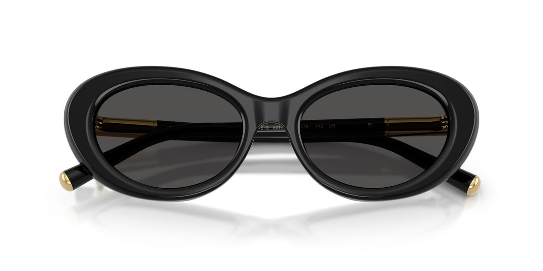 DOLCE & GABBANA DG4519 50187 54 SUNGLASSES