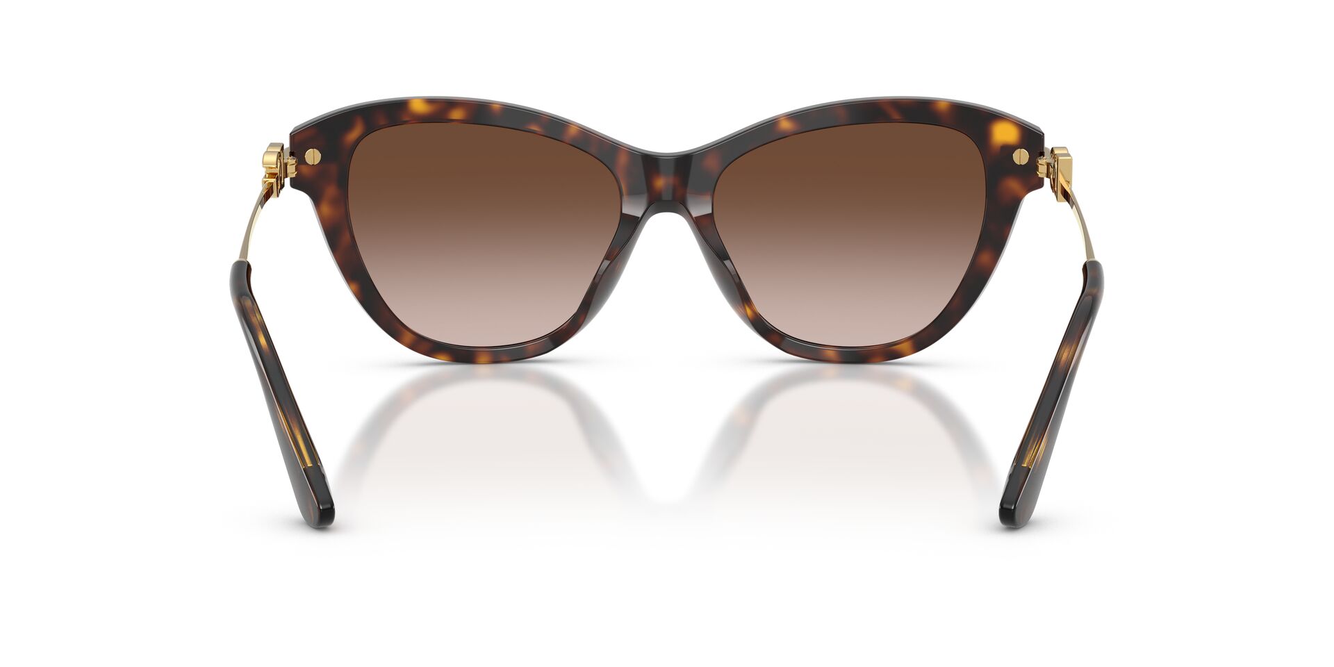 DOLCE & GABBANA DG4534 502 13 53 SUNGLASSES