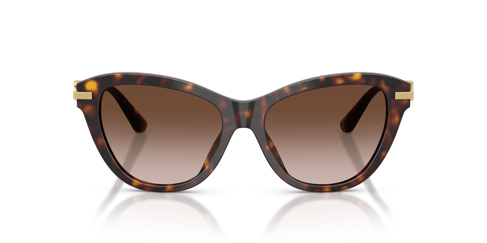 DOLCE & GABBANA DG4534 502 13 53 SUNGLASSES
