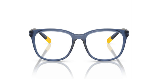 DOLCE & GABBANA DX5094 3009 48 FRAME