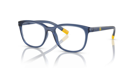 DOLCE & GABBANA DX5094 3009 48 FRAME