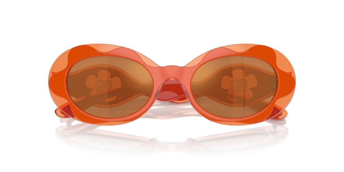 DOLCE & GABBANA DX6005 33887T 49 SUNGLASSES