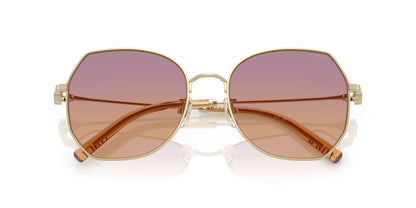 COACH HC7175 CAD79 900578 56 SUNGLASSES