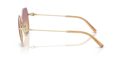 COACH HC7175 CAD79 900578 56 SUNGLASSES