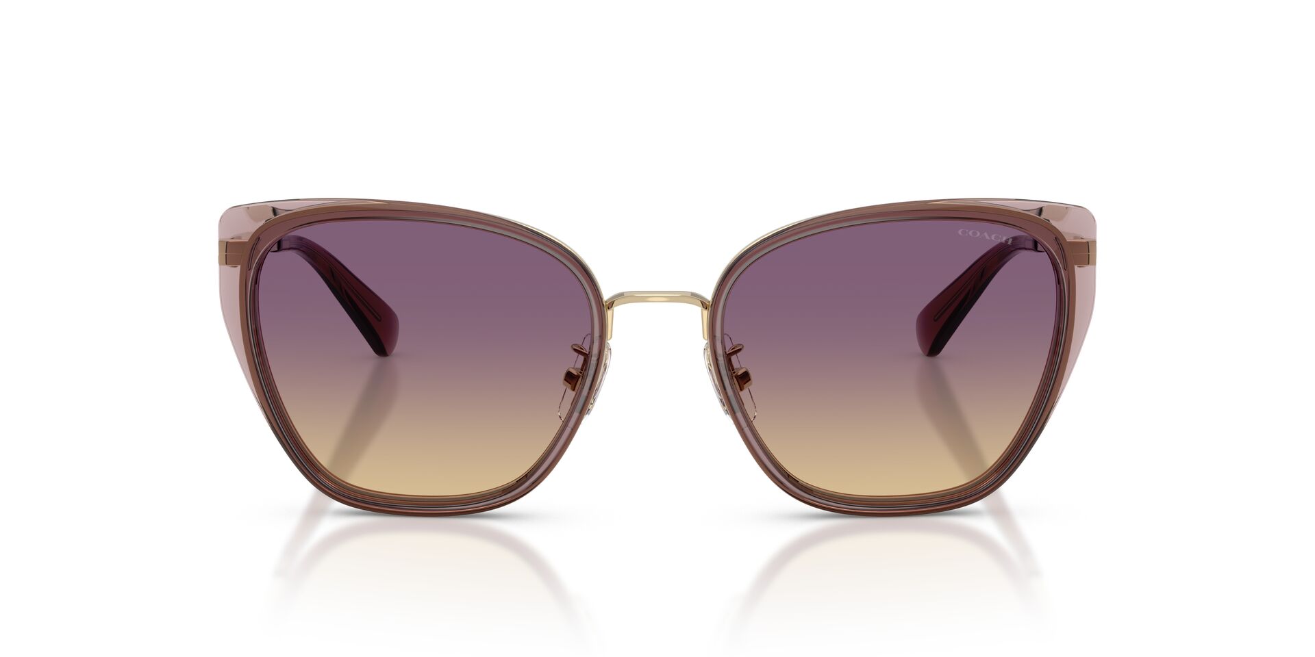 COACH HC7187 948570 53 SUNGLASSES