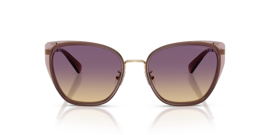 COACH HC7187 948570 53 SUNGLASSES