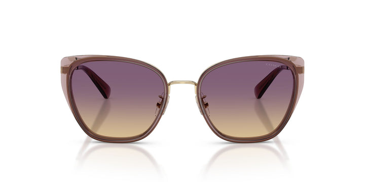 COACH HC7187 948570 53 SUNGLASSES