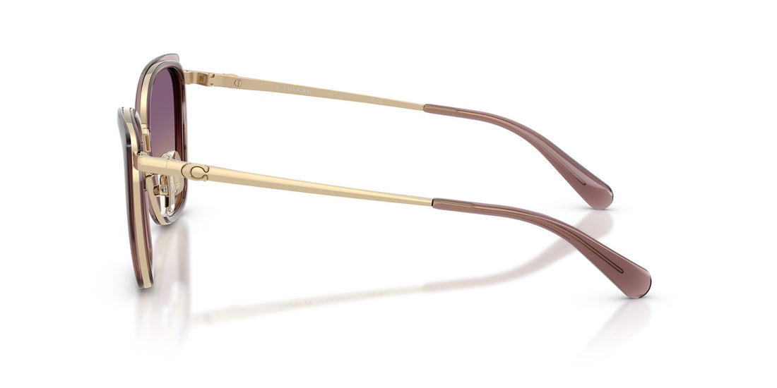 COACH HC7187 948570 53 SUNGLASSES