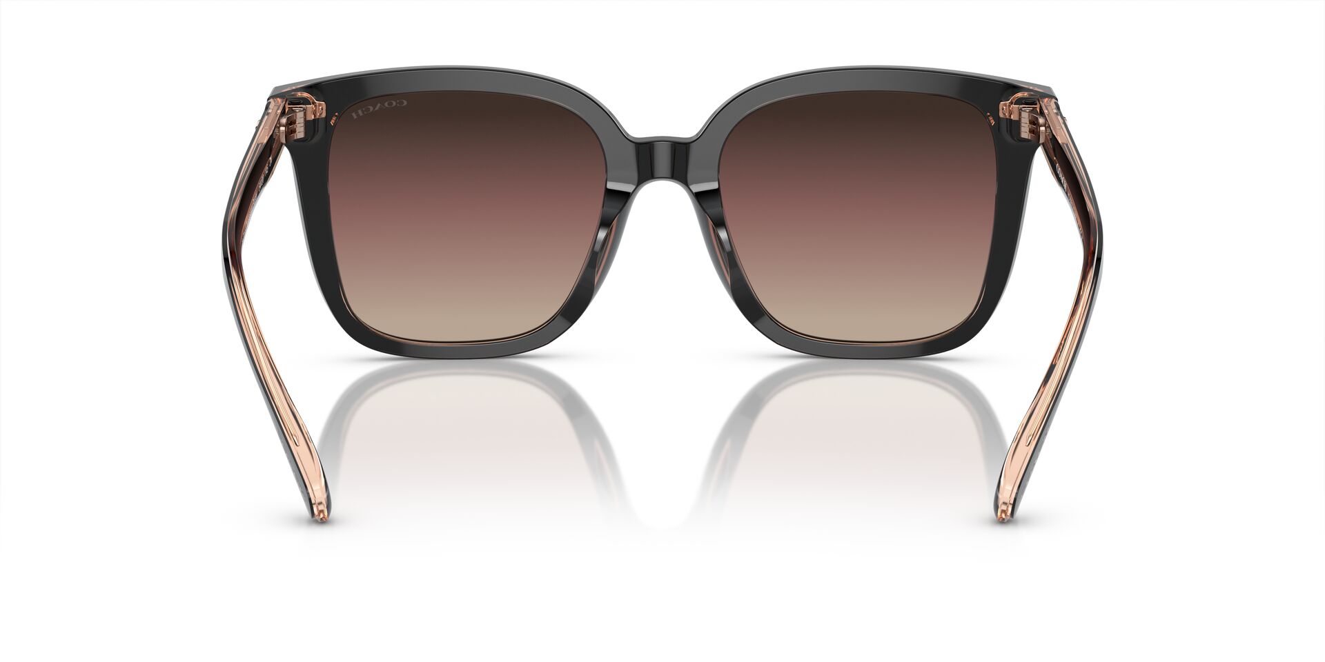COACH HC8381U CL918 5781E2 54 SUNGLASSES