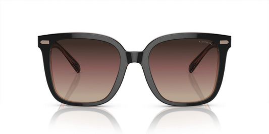 COACH HC8381U CL918 5781E2 54 SUNGLASSES