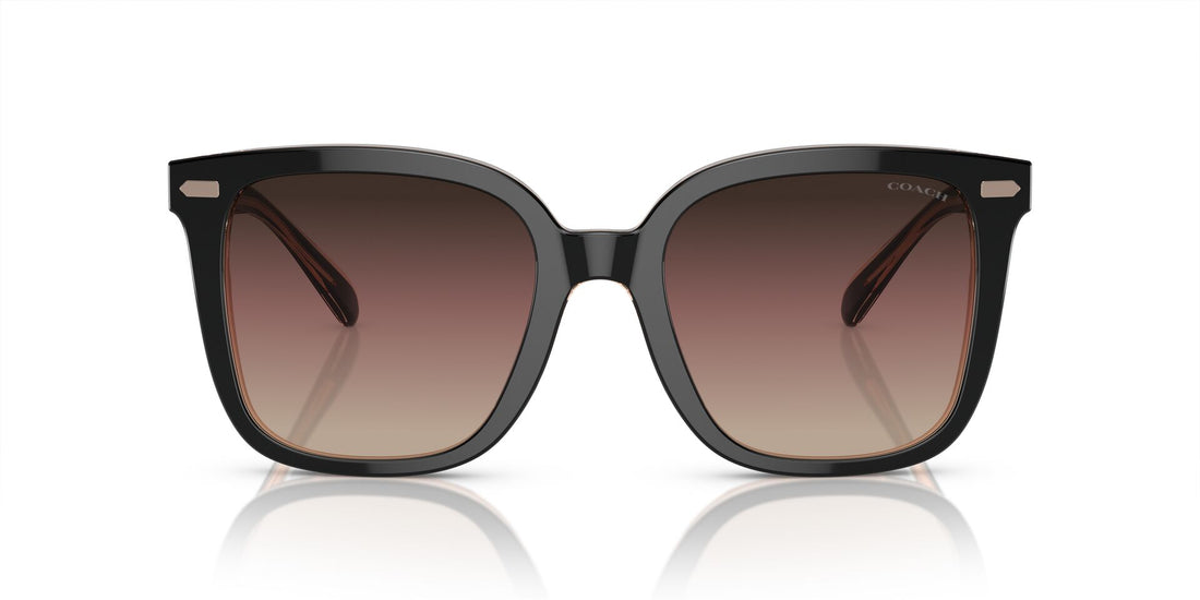 COACH HC8381U CL918 5781E2 54 SUNGLASSES