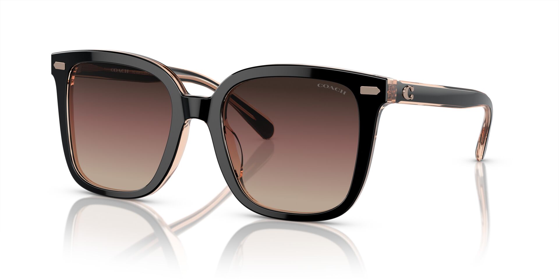 COACH HC8381U CL918 5781E2 54 SUNGLASSES