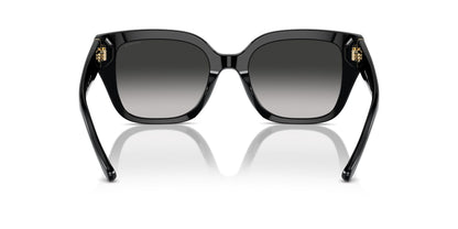 COACH HC8392U CR611 50023C 53 SUNGLASSES