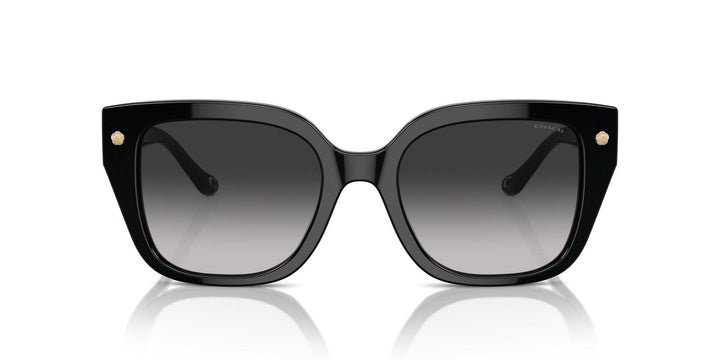 COACH HC8392U 50023C 53 SUNGLASSES