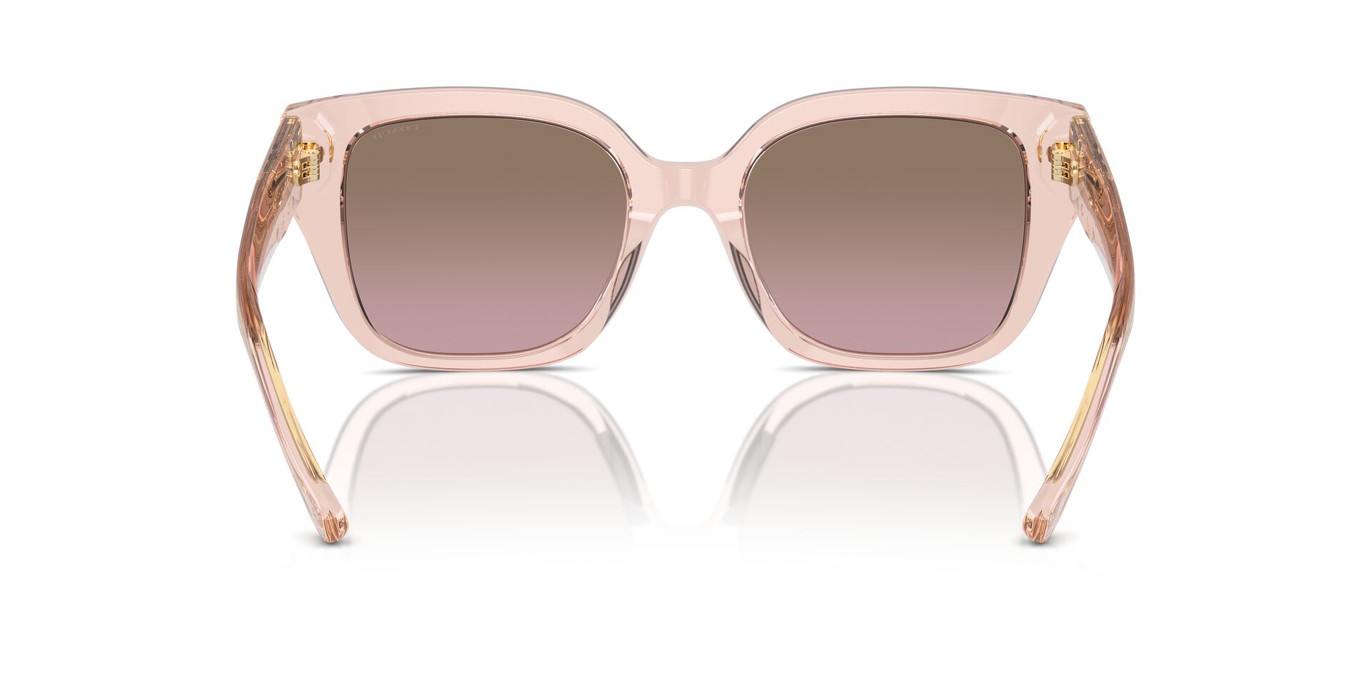 COACH HC8392U CR611 566814 53 SUNGLASSES