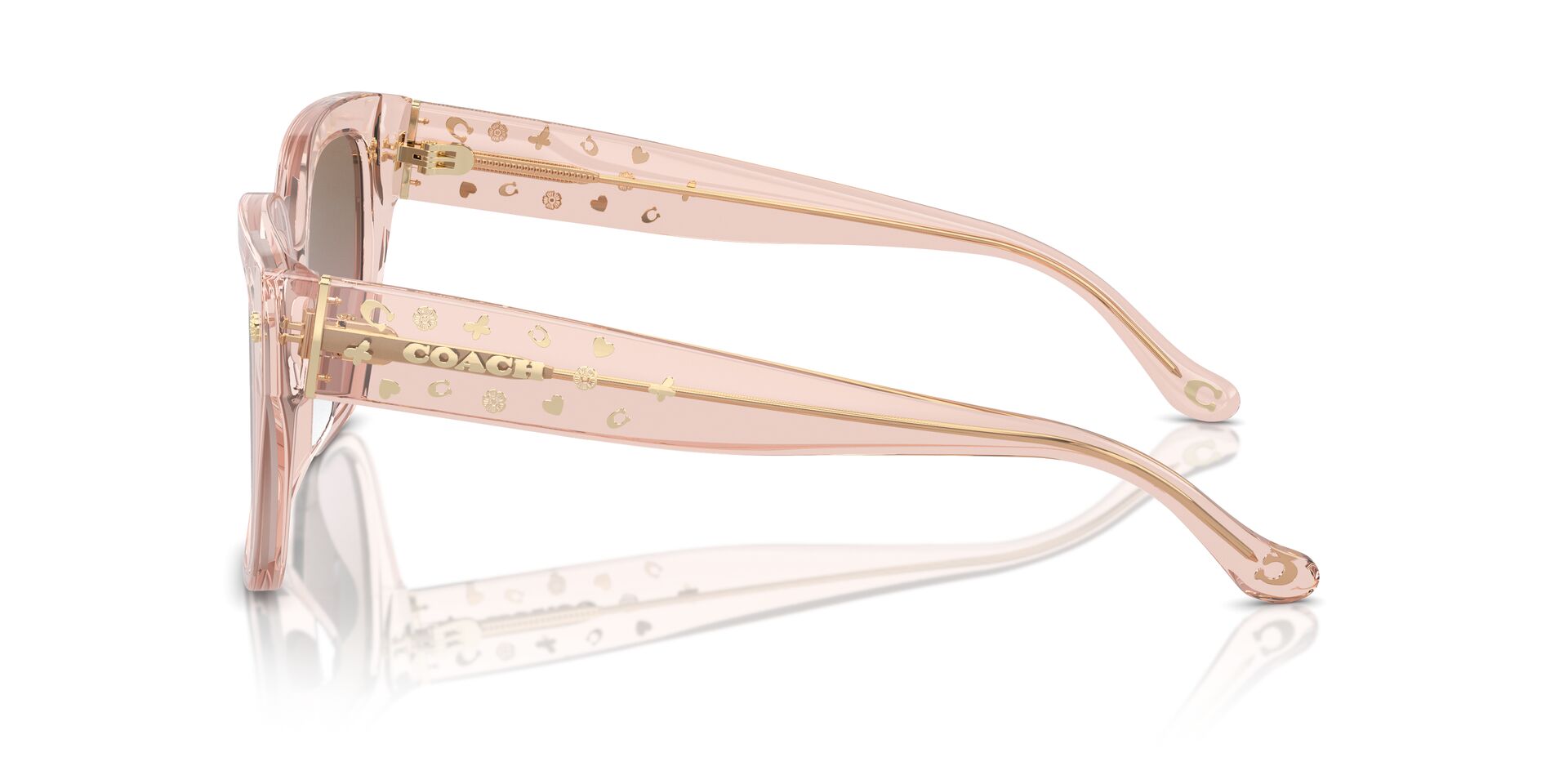 COACH HC8392U CR611 566814 53 SUNGLASSES