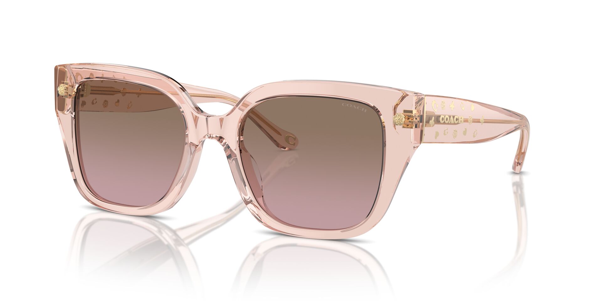 COACH HC8392U CR611 566814 53 SUNGLASSES