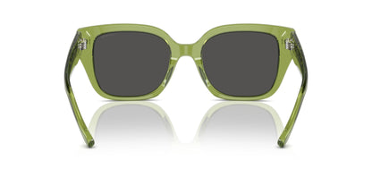 COACH HC8392U CR611 581087 53 SUNGLASSES