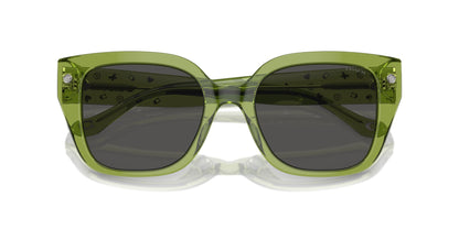 COACH HC8392U CR611 581087 53 SUNGLASSES