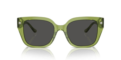 COACH HC8392U CR611 581087 53 SUNGLASSES