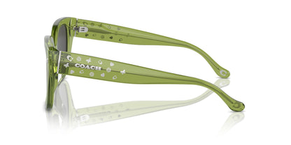 COACH HC8392U CR611 581087 53 SUNGLASSES