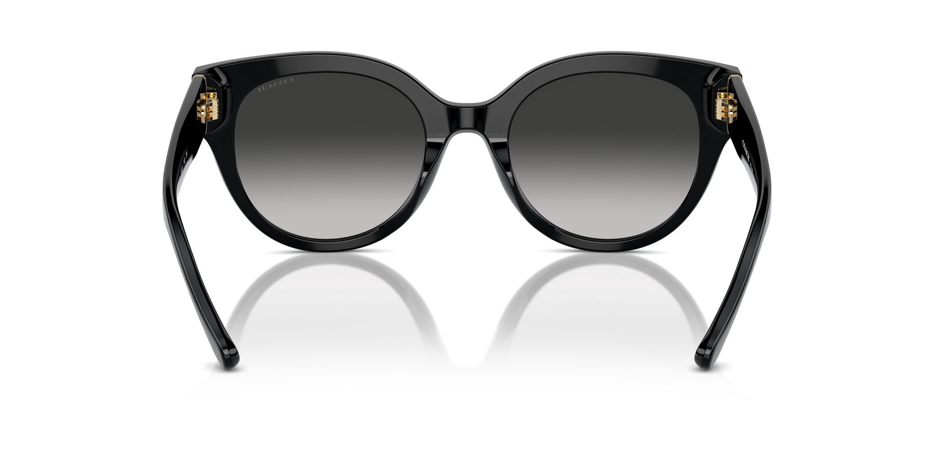COACH HC8393U CR612 50023C 53 SUNGLASSES